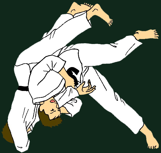 Custom Judo Medals